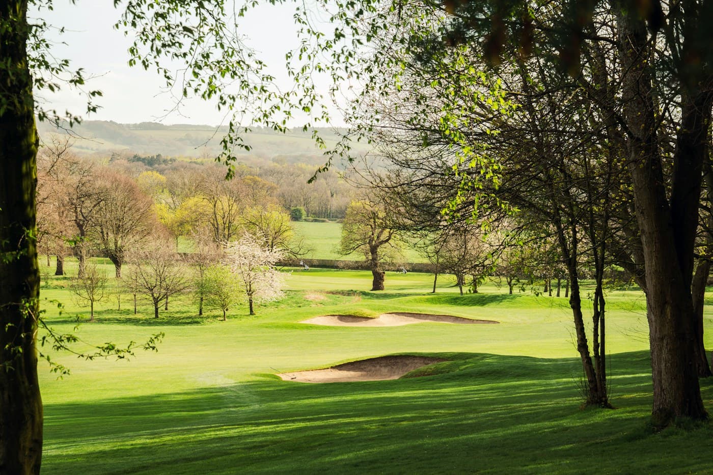 Parcours de golf arboré au printemps, photo d'illustration