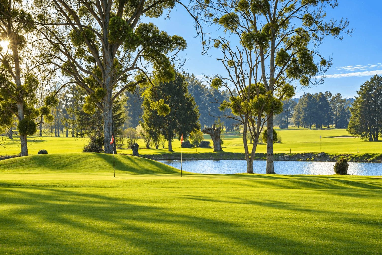 Les greens et le plan d’eau du Golf de Marcilly